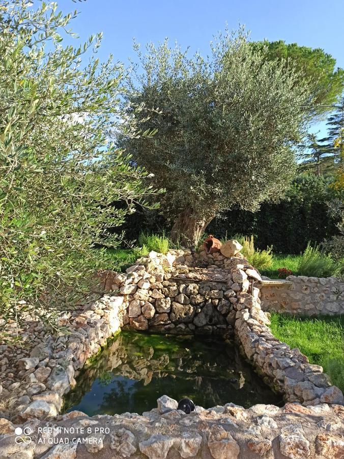 Residenza Nosy Be Villa Palombara Sabina Екстериор снимка